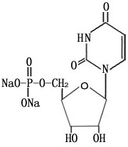 5’-腺苷酸